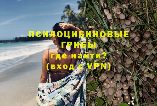 мяу мяу мука Бугульма