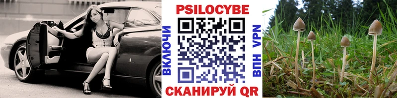 Псилоцибиновые грибы мицелий Красный Кут